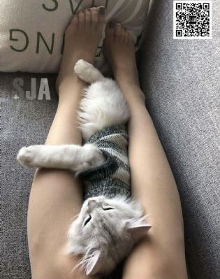 欢喜冤家美剧在线观看完整免费_超清免费观看电视剧