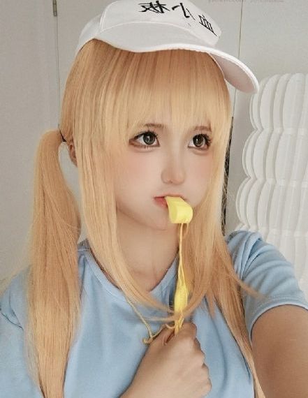后宫狂热动漫_高清点播免费观看最新