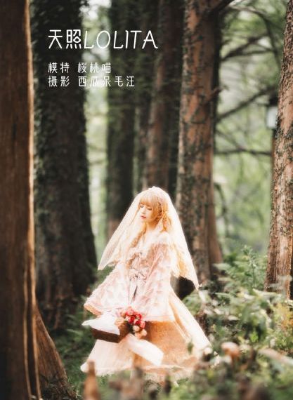 金牌律师在线观看免费_超清神马在线观看