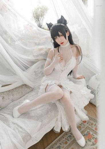 成全视频在线观看免费观看_1080P免费观看视频